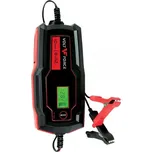 Strend Pro BD02-Z10.0A-P1 6/12V 200Ah