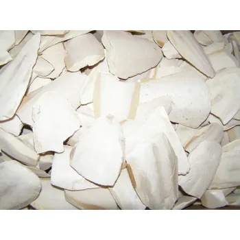 Krmivo pro ptáka Zagers Vogelvoeders Sépiová kost pravá 250 g