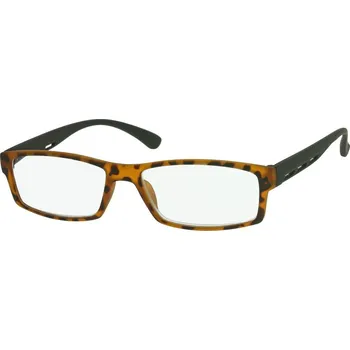 Brýle na čtení Dioptrické čtecí brýle 2R06H +1,0D