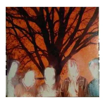 Zahraniční hudba CD Vincent Black Shadow: More Deeper 2008