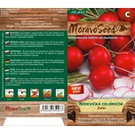MoravoSeed Ester ředkvička celoroční…