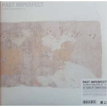 Zahraniční hudba Tindersticks - Past Imperfect: The Best Of Tindersticks '92 - '21 (2LP, SLANG50409-1)