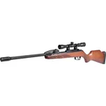 Gamo Outdoor Fast Shot 10X