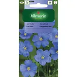 Vilmorin Len vytrvalý modrý 1 g