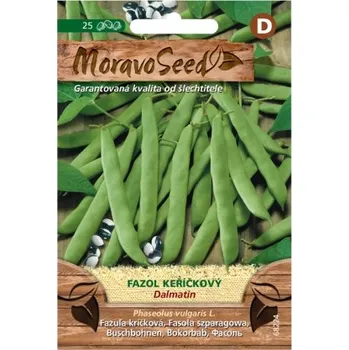 Semeno Fazol keříčkový DALMATIN, zelený 68224