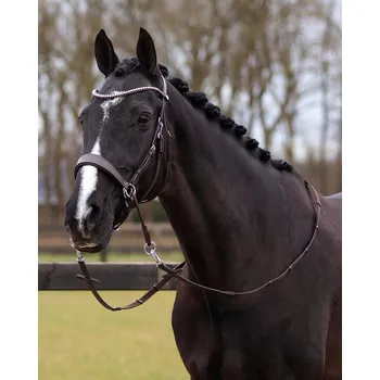 Věšák na sedlo a uzdečku QHP Uzdečka bezudidlová Sunna QHP, hnědá PONY