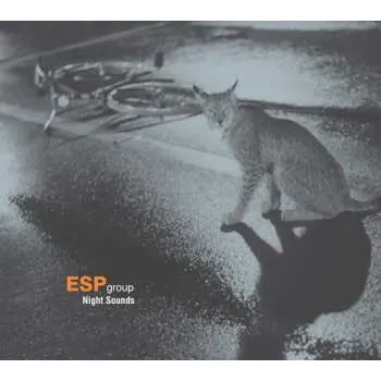 Zahraniční hudba CD ESP Group: Night Sounds 2022