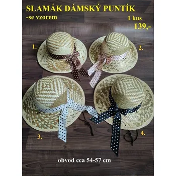 RC model auta SLAMÁK PUNTÍK se vzorem - 1