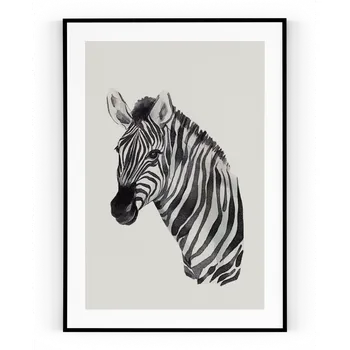 Plakát Plakát / Obraz Zebra 30 x 40 cm Pololesklý saténový papír S bílým okrajem