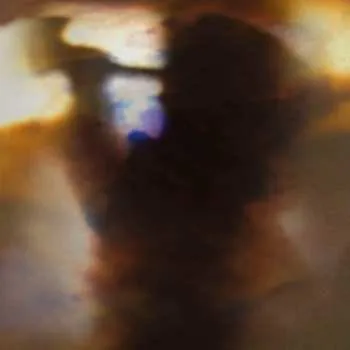 Zahraniční hudba EP Animal Collective: Fall Be Kind 2009 180g Vinyl