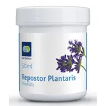 Divine Way Repostor Plantaris…