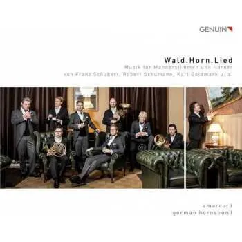 Zahraniční hudba CD Amarcord: Wald.Horn.Lied 2016