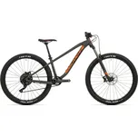 Rock Machine Blizz TRL 40 29"…