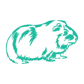 Samolepící dekorace Morče 002 pravá (25 - tyrkysová) SAMOLEPKA NA AUTO, NÁLEPKA, FÓLIE, POLEP, TUNING, VLASTNÍ TEXT, TISK, AUTOSAMOLEPKY.cz, POLEPY, OBRÁZEK, LOGO, 3D STICKERS