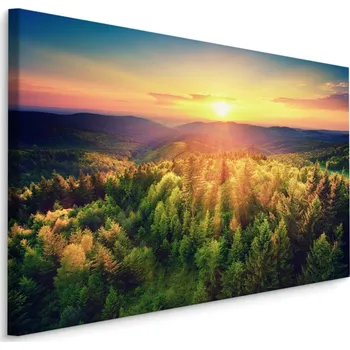 Obraz Plátno Západ Slunce Nad Forest Hills Varianta: 30x20