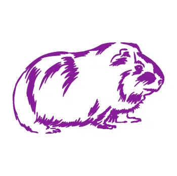 Samolepící dekorace Morče 002 pravá (14 - fialová) SAMOLEPKA NA AUTO, NÁLEPKA, FÓLIE, POLEP, TUNING, VLASTNÍ TEXT, TISK, AUTOSAMOLEPKY.cz, POLEPY, OBRÁZEK, LOGO, 3D STICKERS