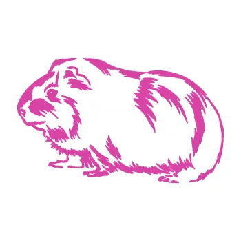 Samolepící dekorace Morče 002 levá (16 - růžová) SAMOLEPKA NA AUTO, NÁLEPKA, FÓLIE, POLEP, TUNING, VLASTNÍ TEXT, TISK, AUTOSAMOLEPKY.cz, POLEPY, OBRÁZEK, LOGO, 3D STICKERS