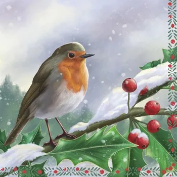 Papírový ubrousek Papírové třívrstvé ubrousky Robin Berry 20 ks - 33*33 cm