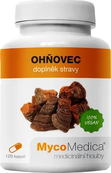 Přírodní produkt MycoMedica Ohňovec 500 mg