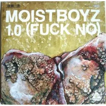 Zahraniční hudba SP Moistboyz: 1.0 (Fuck No) / Secondhand Smoker 2017 Fuck No Vinyl