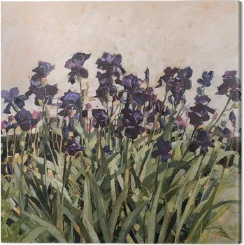 Obraz Obraz na plátně Anne-Marie Butlin - May Garden