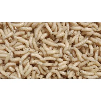 Návnadová surovina Ostatní - Červ masný Červi - Červi mix krabička