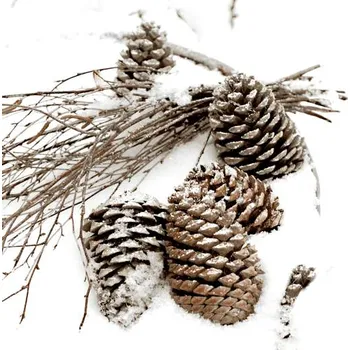 Papírový ubrousek Papírové třívrstvé ubrousky Cones in snow, 20 ks - 33*33 cm