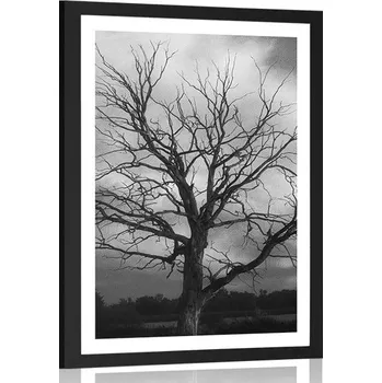 Plakát Dovido Plakát s paspartou černobílý strom na louce