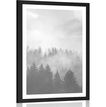 Plakát Dovido Plakát s paspartou mlha nad lesem v černobílém provedení