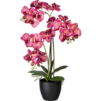 umělá květina Gasper Phalaenopsis orchidej v plastovém květináči 65 cm