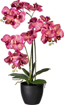 Umělá květina Gasper Phalaenopsis orchidej v plastovém květináči 65 cm