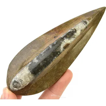 Orthoceras zkamenělý (Maroko) 94g