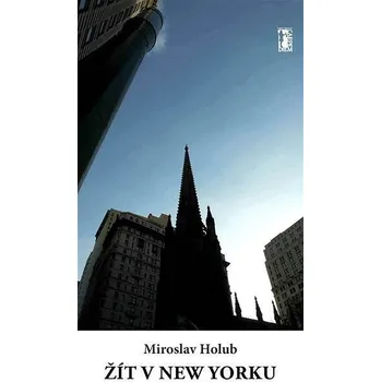 Kniha Žít v New Yorku Ekniha