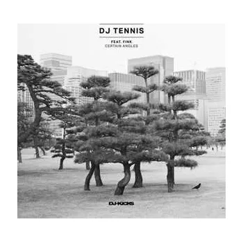 Zahraniční hudba LP Fink: Certain Angles 2017