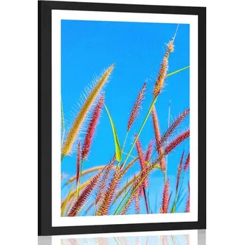 Plakát Dovido Plakát s paspartou divoká tráva pod modrou oblohou