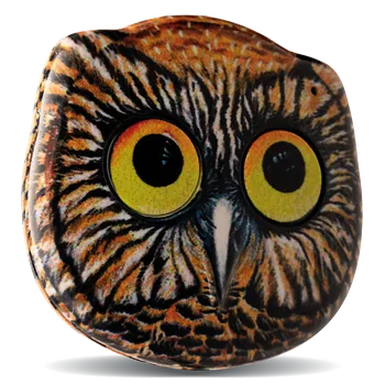 Dálkový ovladač vrat Roger Technology AN2/BIRD/DIZY zoolock dálkový ovladač ROGER