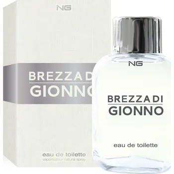 Pánský parfém NG PERFUMES NG Brezza di Gionno 100 ml