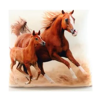 Polštář Polštářek polštář fotopotisk koně 33 x 33 cm