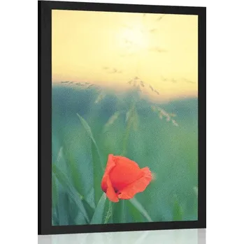 Plakát Dovido Plakát vlčí mák v trávě