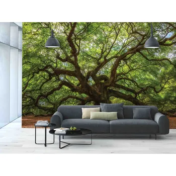 Fototapeta Malvis ® Fototapeta Strom života Vel. (šířka x výška): 144 x 105 cm