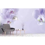 Malvis ® Tapeta Orchidej fialková Vel. (šířka x výška): 504 x 310 cm