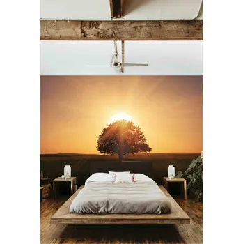 Fototapeta Malvis ® Tapeta Západ slunce Vel. (šířka x výška): 144 x 105 cm