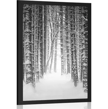 Plakát Dovido Plakát les zahalený sněhem v černobílém provedení