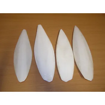 Krmivo pro ptáka Zagers Vogelvoeders Sépiová kost pravá broušená 20-27 cm 1 ks