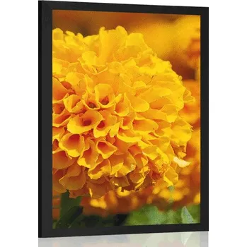 Plakát Dovido Plakát aztécký měsíček