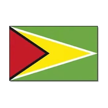 Vlajka PROMEX Vlajka Guyana 90x150cm č.144