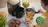 Fritovací hrnec Philips Essential Airfryer HD9200
