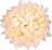 Nohel Garden Chryzantéma květ 13 cm, světle oranžová