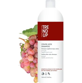 Šampon Trend Up Color Lock šampón pro barvené vlasy 1000 ml