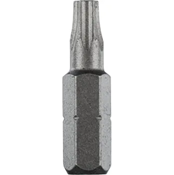Bit RAXX 1228894 bit TX 20x25mm ST&nbsp; [ 72945 ]